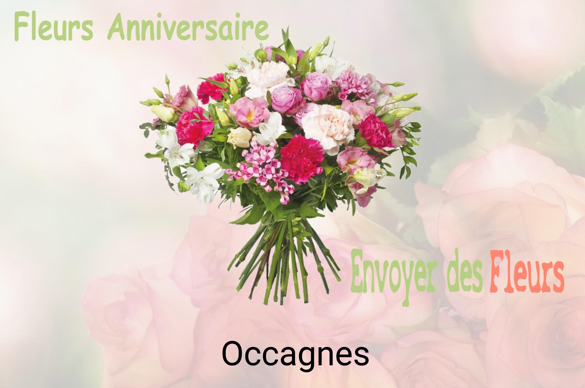 Bouquet de fleurs d’anniversaire livré à Occagnes