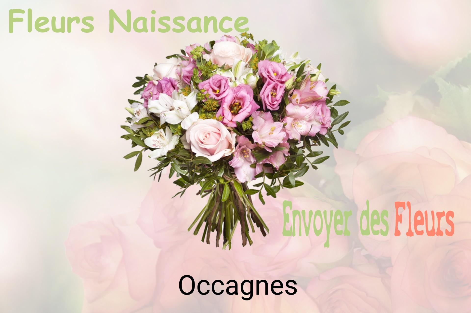 Bouquet de fleurs de naissance livré à Occagnes