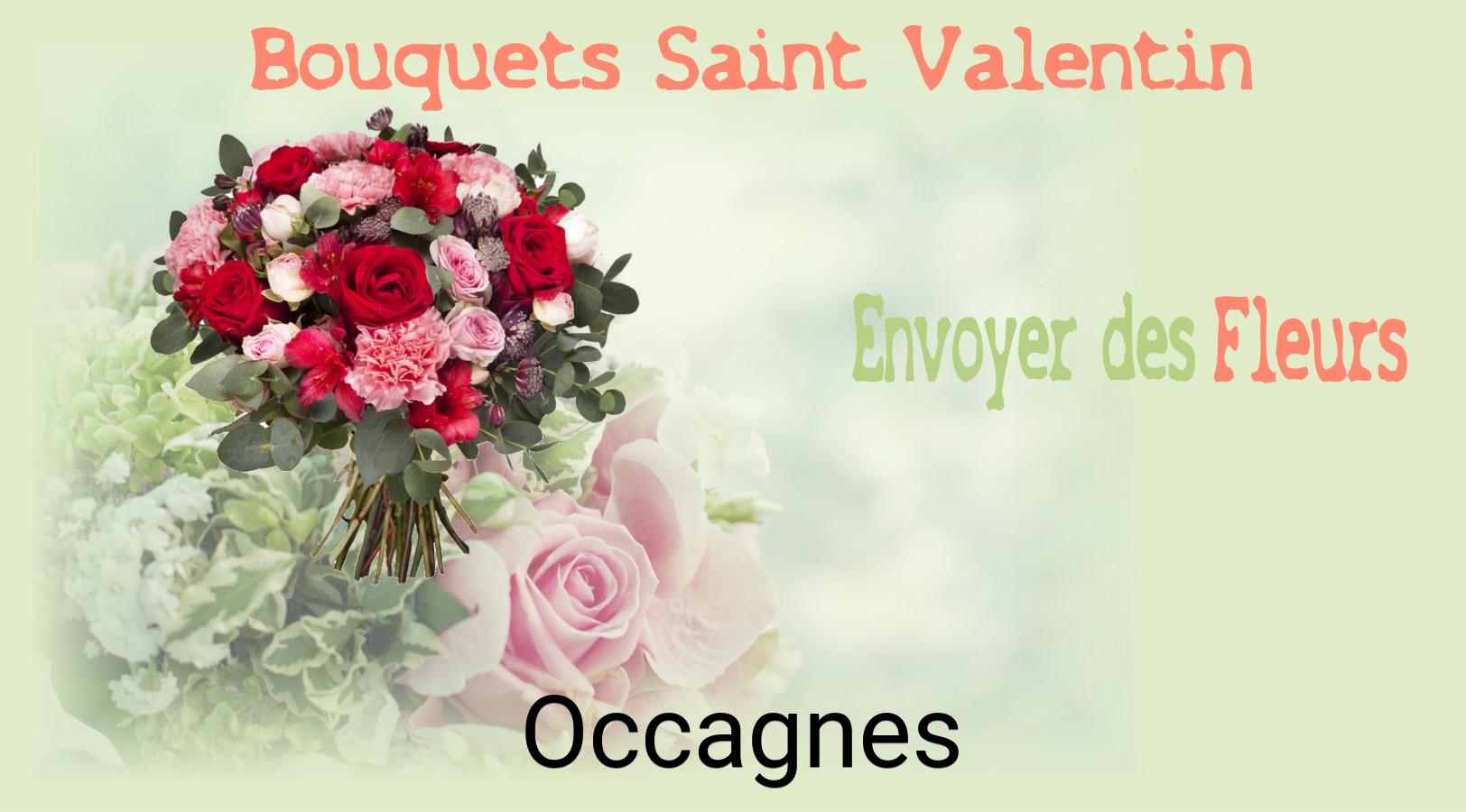Roses de Saint-Valentin livrées à Occagnes