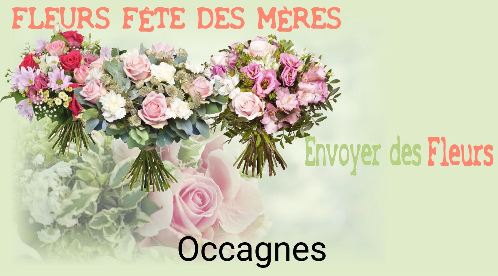 Bouquet de Fête des Mères livré à Occagnes